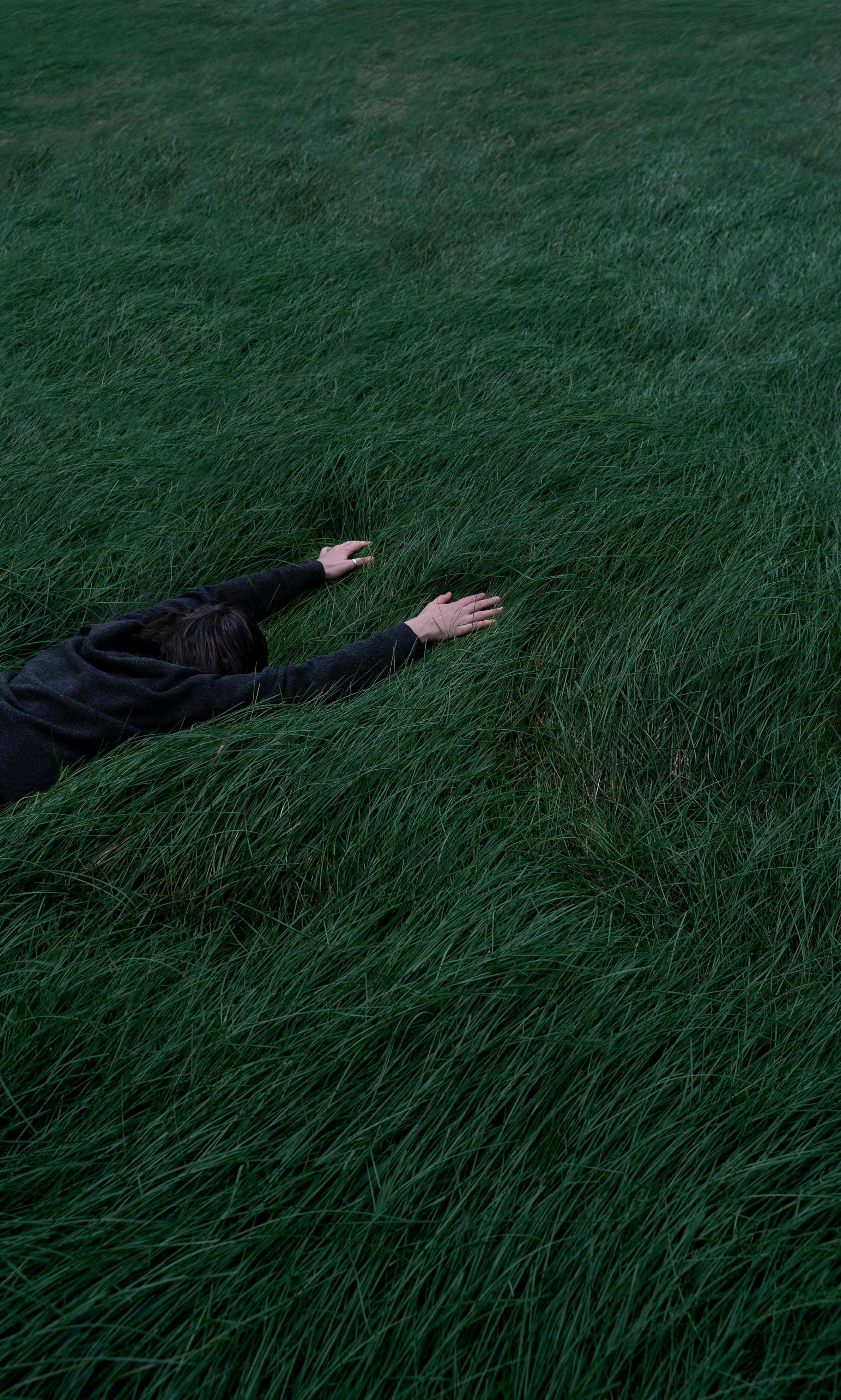 An illustrative sketch of a flower